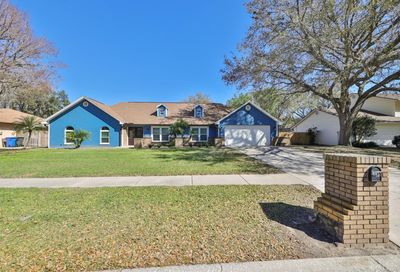 3908 Rosedale Drive Brandon FL 33511