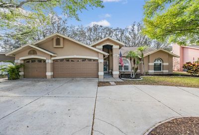 3167 Ohara Drive New Port Richey FL 34655