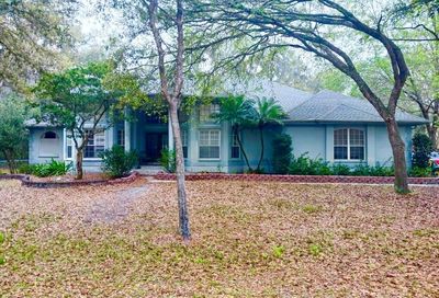 27939 Lincoln Place Wesley Chapel FL 33544