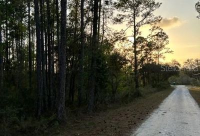 Address Withheld Webster FL 33597