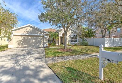 8907 N River Road Tampa FL 33635
