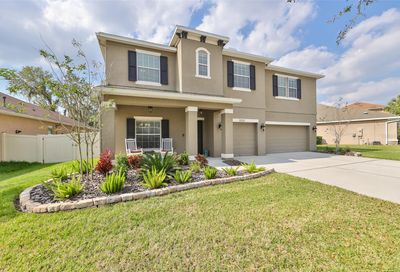 11323 Coventry Grove Circle Lithia FL 33547