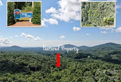 Tbd Black Oak Drive Sapphire NC 28774