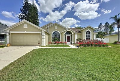 263 Via Mariel East Drive Davenport FL 33896