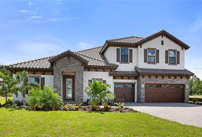 14288 Swiss Bridge Drive Riverview FL 33579