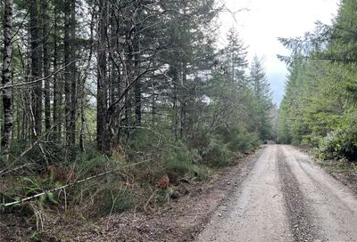 6 Yy E Probert Road Shelton WA 98584