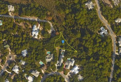 90 Cove Creek Lane Inlet Beach FL 32413