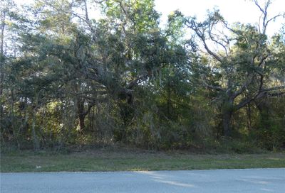 Hilltop Drive New Port Richey FL 34654