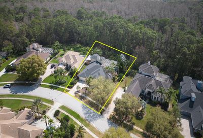 4953 Quill Court Palm Harbor FL 34685