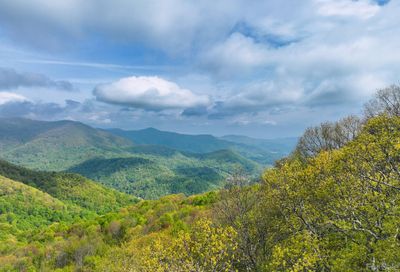 B8 Awohali Trail Maggie Valley NC 28751