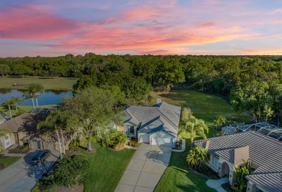1856 Eau Claire Court Oldsmar FL 34677
