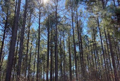 Tract 13 Aqua Rd Madison GA 30650