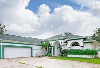 7810 Tanglewood Drive New Port Richey FL 34654