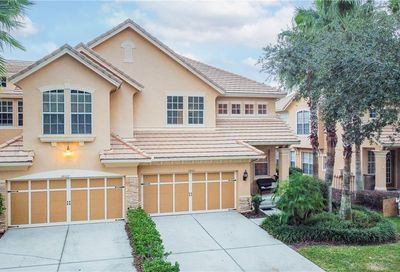 14525 Mirabelle Vista Circle Tampa FL 33626