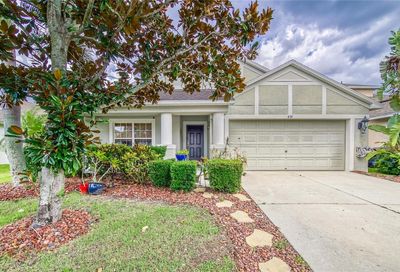439 Stone Briar Drive Ruskin FL 33570
