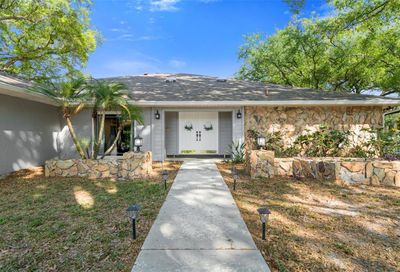 1009 Morfield Lane Brandon FL 33511