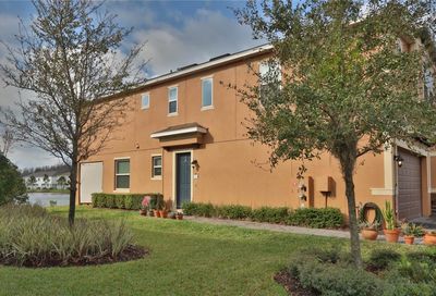 3212 Painted Blossom Court Lutz FL 33558