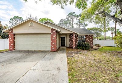 21516 Curlew Court Lutz FL 33549