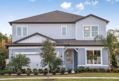 12902 Brookside Moss Drive Riverview FL 33579