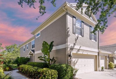 11111 Windsor Place Circle Tampa FL 33626