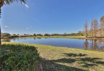 1427 Emerald Dunes Drive Sun City Center FL 33573