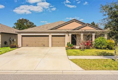 9659 Sage Creek Drive Ruskin FL 33573