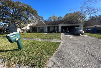 1415 Peachfield Drive Valrico FL 33596