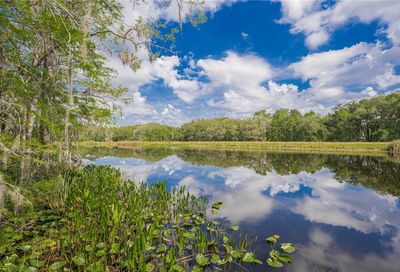 345 Sequoia Drive Ocklawaha FL 32179