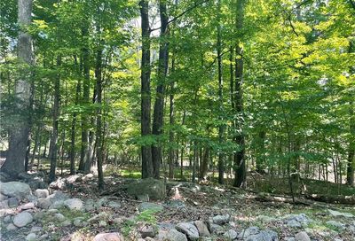 Lenni Lenape Avenue Pine Bush NY 12566