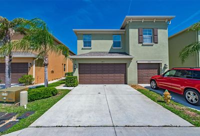 9493 Trumpet Vine Loop Trinity FL 34655