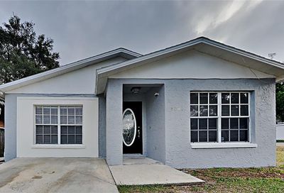 8701 N Mandarine Place Tampa FL 33617