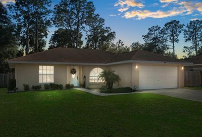 1085 Cr 463b Lake Panasoffkee FL 33538