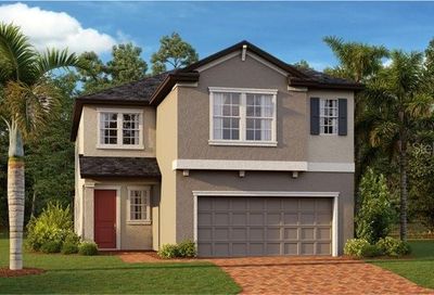 8244 Rolling Tides Drive New Port Richey FL 34655