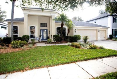 1111 Split Silk Street Valrico FL 33594