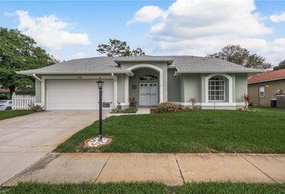 9548 Springmeadow Drive New Port Richey FL 34655