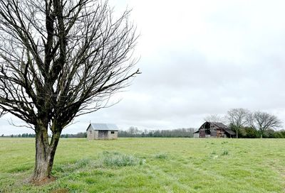 Wright Rd Lot # 3 Chapel Hill TN 37034
