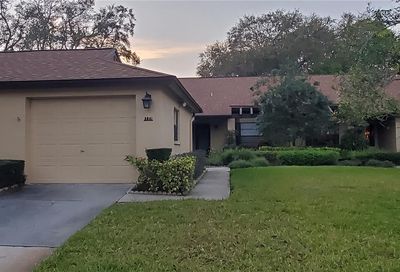 3541 Niblick Court New Port Richey FL 34655