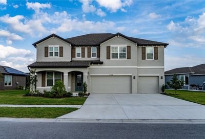 11708 Tetrafin Drive Riverview FL 33579