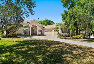 1620 Brilliant Cut Way Valrico FL 33594