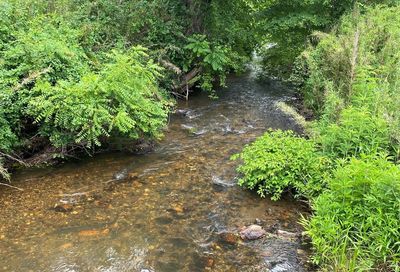 Fireplace Trail Cullowhee NC 28723