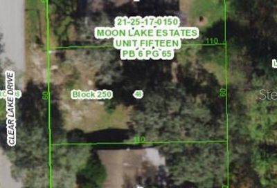 12216 Clear Lake Drive New Port Richey FL 34654