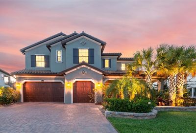 28538 Picana Lane Wesley Chapel FL 33543