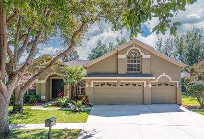 6116 Vireoridge Drive Lithia FL 33547