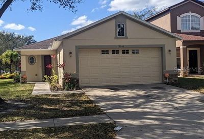 12545 Evington Point Drive Riverview FL 33579