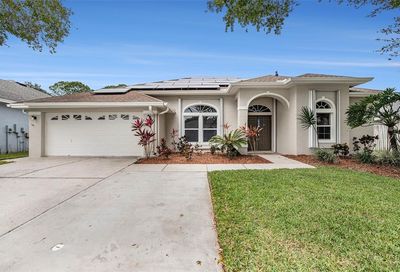 10010 Bennington Drive Tampa FL 33626