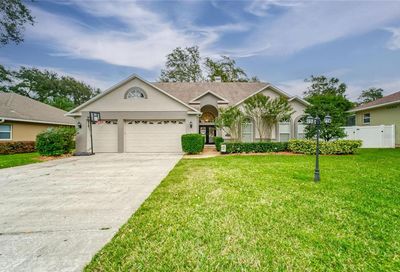 403 Citrus Wood Lane Valrico FL 33594