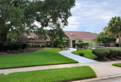 4269 River Birch Drive Spring Hill FL 34607