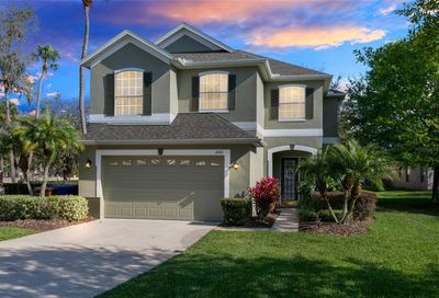 2800 Eagles Roost Circle Kissimmee FL 34746