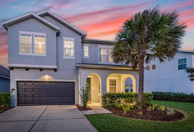 11513 Quiet Forest Drive Tampa FL 33635