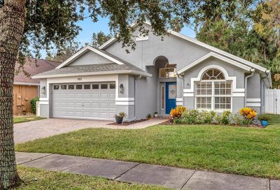 1451 Barn Owl Loop Sanford FL 32773